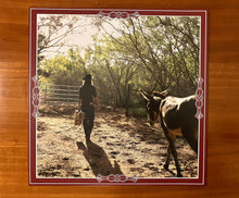 Load image into Gallery viewer, Jack Fister's Wildlife - Watershed (Vinyl)