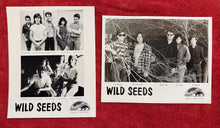Load image into Gallery viewer, Wild Seeds Promo Pack (Photo)