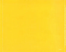Load image into Gallery viewer, Rage Against The Machine : Evil Empire (CD, Album)