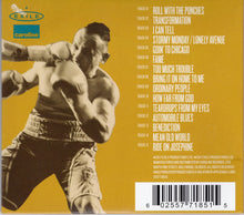 Load image into Gallery viewer, Van Morrison : Roll With The Punches (CD, Album)