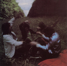 Load image into Gallery viewer, The Soft Boys : Invisible Hits (CD, Album, RE)