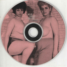 Load image into Gallery viewer, T. Valentine : Hello Lucille ... Are You A Lesbian? (CD, Comp)
