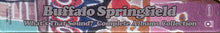 Load image into Gallery viewer, Buffalo Springfield : What's That Sound? Complete Albums Collection (Box, Comp + CD, Album, Mono, RE, RM + CD, Album, R)