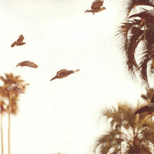 Load image into Gallery viewer, Motohiko Hamase : Intaglio (LP, Album)