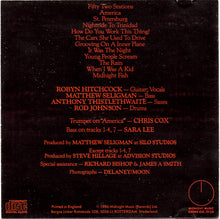 Load image into Gallery viewer, Robyn Hitchcock : Groovy Decoy (CD, Album)