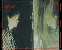 Load image into Gallery viewer, Robyn Hitchcock : Groovy Decoy (CD, Album)