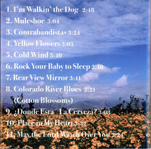 Load image into Gallery viewer, Bobby Earl Smith : Rearview Mirror (CD, Album)