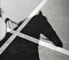 Load image into Gallery viewer, Carson McHone : Carousel (CDr, Album)