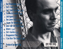 Load image into Gallery viewer, Freedy Johnston : This Perfect World (CD, Album)