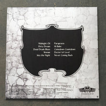 Load image into Gallery viewer, Salt Lick (2) : Salt Lick (LP, Ltd, Blu)