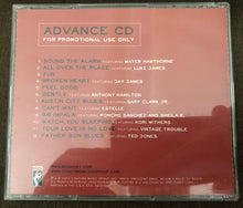 Load image into Gallery viewer, Booker T* : Sound The Alarm (CDr, Promo)