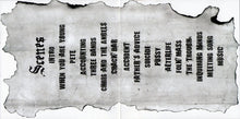 Load image into Gallery viewer, Ed Hamell : Rant & Roll (CD, Album, Dlx + DVD-V, Album, Dlx, NTSC)