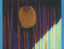 Load image into Gallery viewer, Kirsty MacColl : Tropical Brainstorm (CD, Album, Enh)