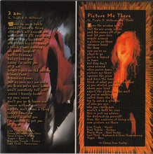 Load image into Gallery viewer, Lisa Tingle : Picture Me There (CD, Album)