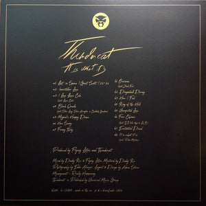 Thundercat : It Is What It Is (LP, Album, Red)