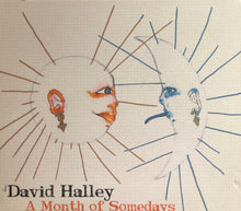 Load image into Gallery viewer, David Halley : A Month Of Somedays (CD, Album)