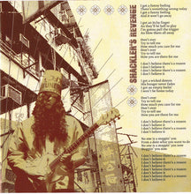 Load image into Gallery viewer, Guns N' Roses : Chinese Democracy (CD, Album)