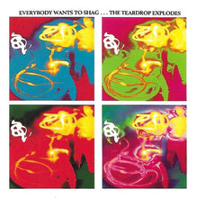 Load image into Gallery viewer, The Teardrop Explodes : Everybody Wants To Shag...The Teardrop Explodes (CD, Album)