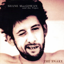 Load image into Gallery viewer, Shane MacGowan And The Popes : The Snake (CD, Album, RE)