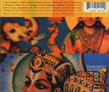 Load image into Gallery viewer, Jai Uttal And The Pagan Love Orchestra : Shiva Station (CD, Album)