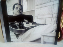 Load image into Gallery viewer, Dave Herrero : Hard Life Blues (CD, Album)