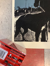 Load image into Gallery viewer, The Ponys at Empty Bottle - 2004 (Poster)