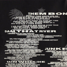 Load image into Gallery viewer, Alice In Chains : Dirt (CD, Album, Pit)