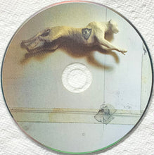 Load image into Gallery viewer, Restavrant : Yeah, I Carve Cheetahs (CD, Album)
