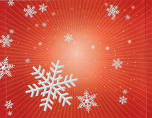 Load image into Gallery viewer, Various : Let It Snow (A Holiday Musical Collection) (CD, Comp)