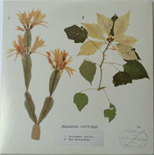 Load image into Gallery viewer, Juliana Hatfield : Christmas Cactus (7", Ltd, RE, Cle)