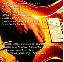 Load image into Gallery viewer, David Grissom : 10,000 Feet (CD, Album)