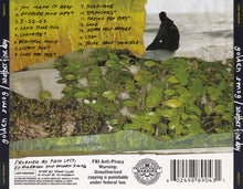 Load image into Gallery viewer, Golden Smog : Another Fine Day (CD, Album, EDC)
