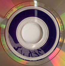 Load image into Gallery viewer, The Hoodoo Kings : The Hoodoo Kings (CD, Album, Promo)