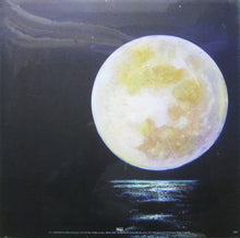 Load image into Gallery viewer, Alex G (2) : Beach Music (LP, Album)