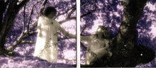 Load image into Gallery viewer, The Whitmore Sisters : Ghost Stories (CD, Album)
