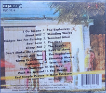 Load image into Gallery viewer, Various : Live At Raul's (CD, Comp)