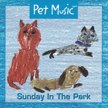 Load image into Gallery viewer, Unknown Artist : Sunday In The Park (CD, Album)