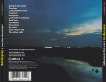 Load image into Gallery viewer, David Gray : A New Day At Midnight (CD, Album)