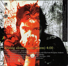 Load image into Gallery viewer, Robyn Hitchcock & The Egyptians : Driving Aloud (Radio Storm) (CD, Single, Promo)