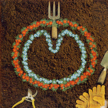 Load image into Gallery viewer, XTC : Homegrown (CD)