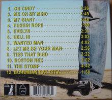 Load image into Gallery viewer, Josh Allen And The Whisky Brothers : Giant (CD)