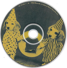 Load image into Gallery viewer, Peter Holsapple And Chris Stamey : Mavericks (CD, Album)