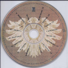 Load image into Gallery viewer, Patty Larkin : Angels Running (CD, Album)