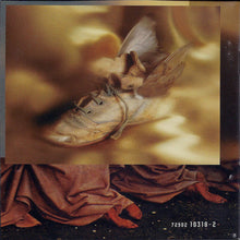 Load image into Gallery viewer, Patty Larkin : Angels Running (CD, Album)