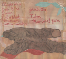 Load image into Gallery viewer, Shells (14) : Dad Rock Confuser (CD, Album)