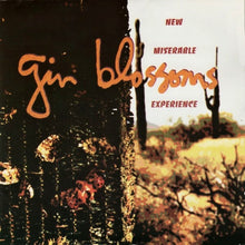 Load image into Gallery viewer, Gin Blossoms : New Miserable Experience (CD, Album, DAD)