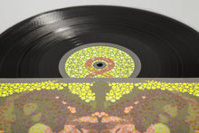 Load image into Gallery viewer, Dangerdoom - Mouse & the Mask