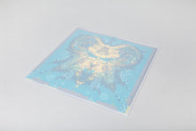 Load image into Gallery viewer, Dangerdoom - Mouse & the Mask