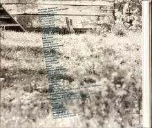 Load image into Gallery viewer, Townes Van Zandt : Flyin' Shoes (CD, Album, RE)