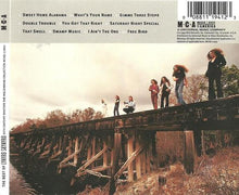 Load image into Gallery viewer, Lynyrd Skynyrd : The Best Of Lynyrd Skynyrd (CD, Comp, RM)